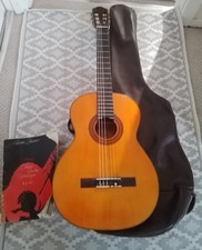 Ibanez Vintage Acoustic Guitar