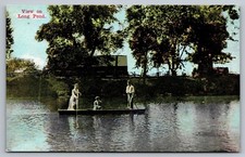 View on Long Pond-Pole