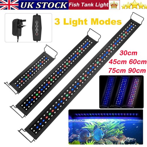 Full spectrum aquarium fish - spectrum,