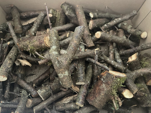 3kg blackthorn hardwood - 1.3kg,