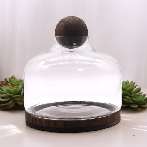 Extra large glass dome cloche - extra,
