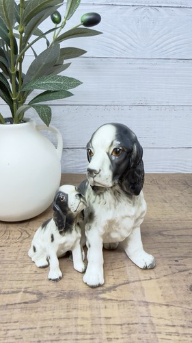 Vintage english springer - english,