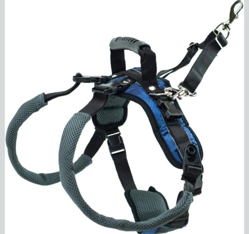 Petsafe rear support harness - rear,