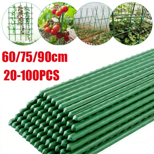 90cm plant stake - 60/75/90cm, garden