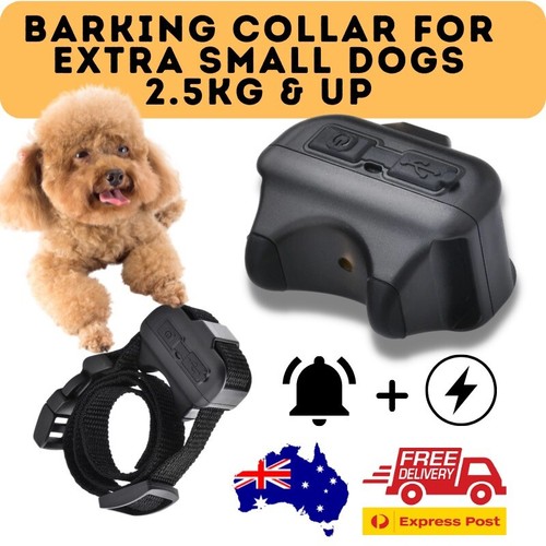 Db60 smallest shock collar - db60,