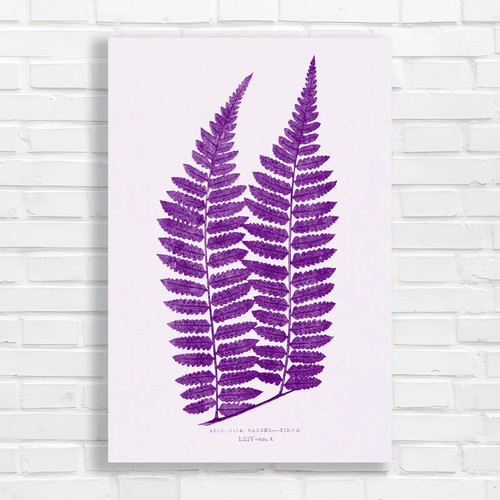 Botanical fern purple - purple, canvas