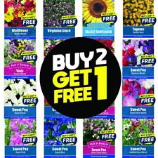 Flower Seeds Plants Borders