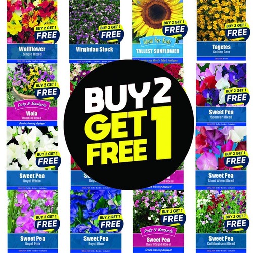 Flower seeds plants borders - seeds,