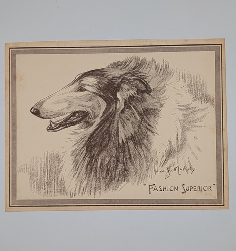 1930s vintage rough collie dog - vintage,