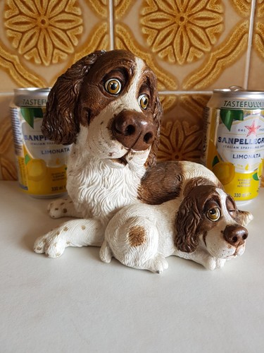 Pets with personality - pets,