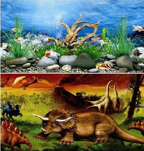 Aquarium fish tank background - tank,