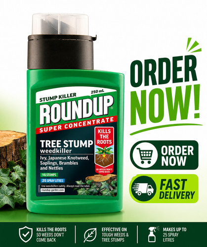 Tree stump killer - stump, root