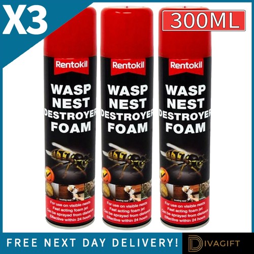 Rentokil wasp nest - wasp,
