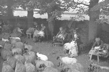 Howgill near Sedbergh in the