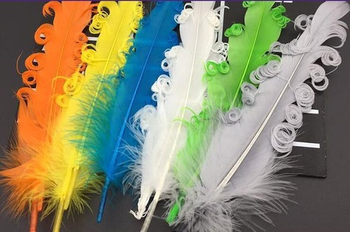 Quality curled goose feathers - goose,