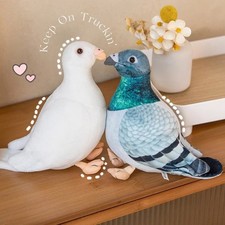 Simulation Pigeon Bird Soft