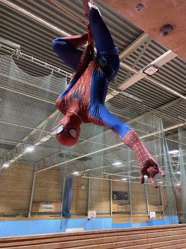 Spider man raimi tobey maguire - spider-man,