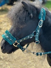 HORSE PRINT FUR HEADCOLLAR LEAD ROPE SET 13 COLOUR FULL - MINI SHETTY