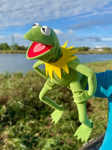 Kermit the frog muppet - the,