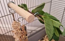 Perch & 4x Hooks - Pet Cage