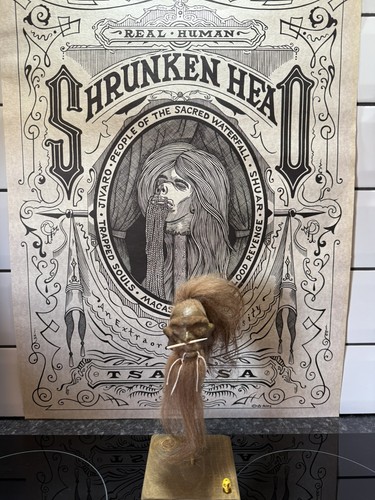 Shrunken head hand made