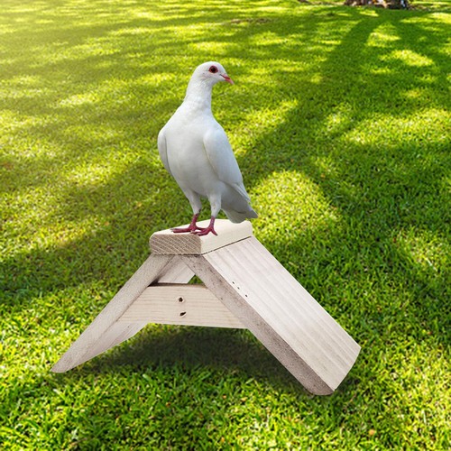 Dove rest stand breeding - dove,