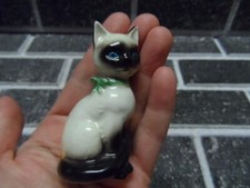 W Germany Siamese Cat wearing