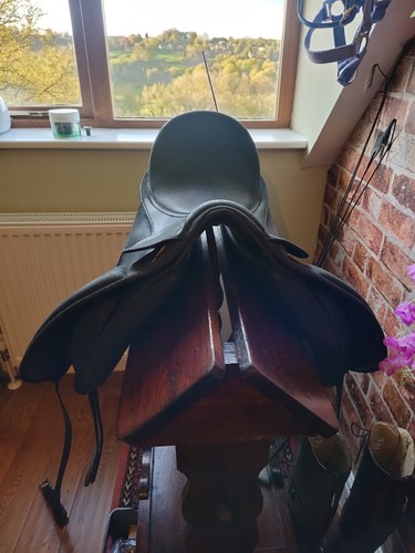 Winter isabel saddle - isabel, dressage