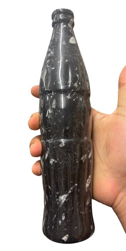 Orthoceras fossil coke - fossil,