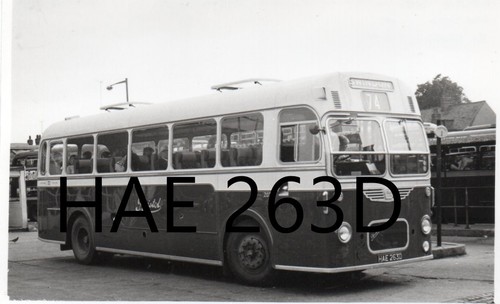 Bristol omnibus 2031 hae263d - bristol,