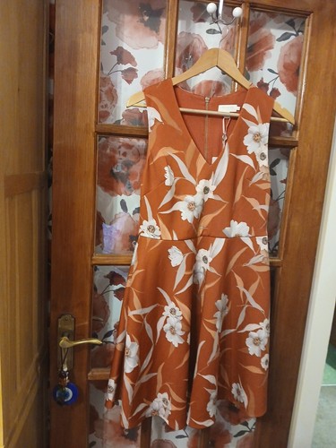 Ted baker ladies - baker, uk