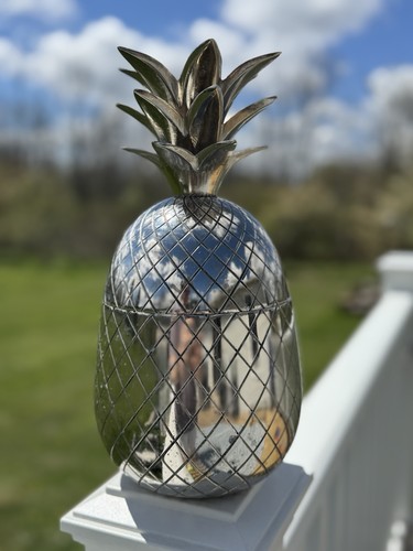 Pineapple ice bucket - ice,