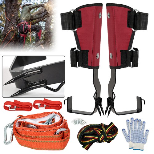 Safety tree climbing - safety,