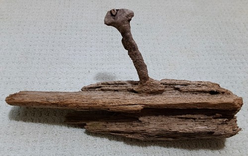 Very unusual driftwood - unusual,