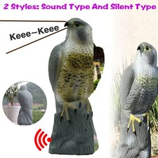 Large Outdoor Garden Realistic