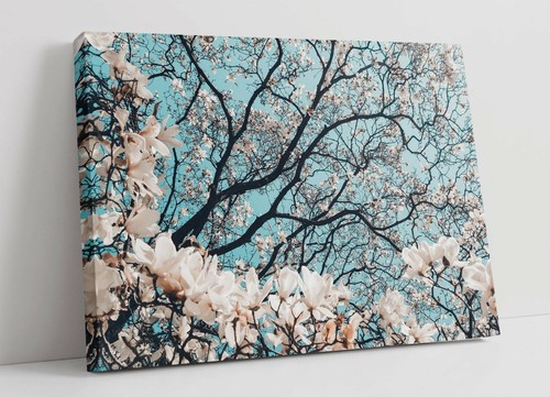 Cherry blossom canvas wall - blossom,