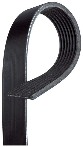 Ribbed belt 1663mm - v-ribbed, length