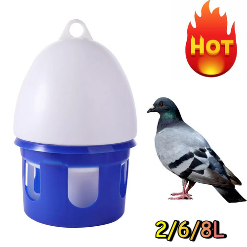 Automatic bird pigeons - automatic,