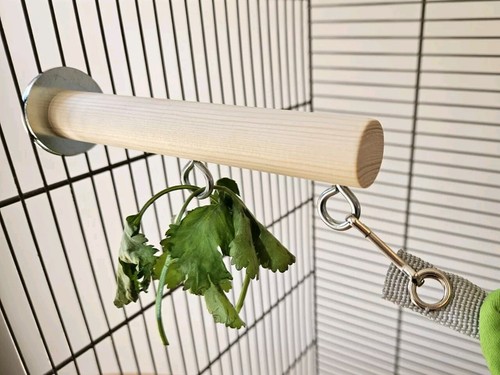 Pet cage perch hooks - pet,