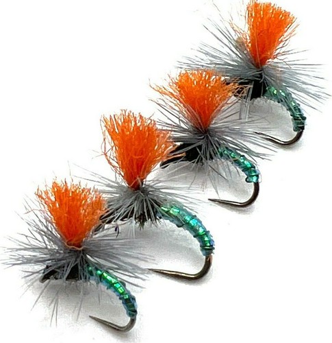 Trout fly fishing - trout, dry