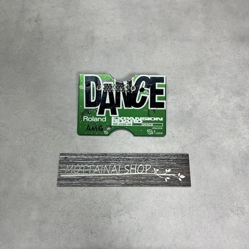 Roland jv80 dance wave - sr-jv80-06,