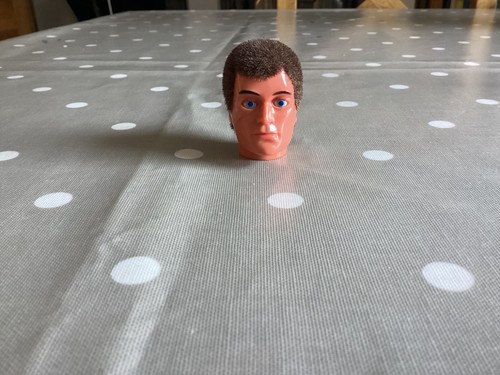 Action man 40th eagle eye - man,