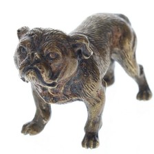 Cold Painted Bronze Bulldog