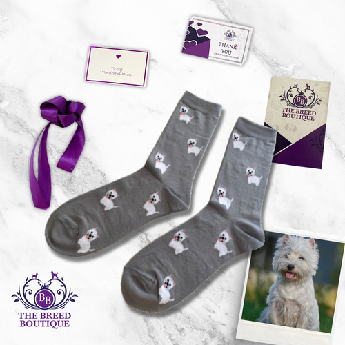 West highland terrier - terrier, socks