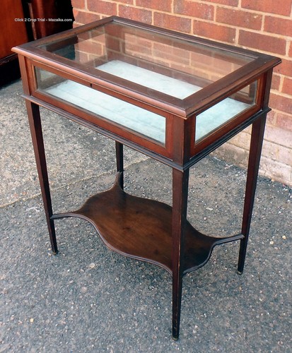 Victorian antique display case