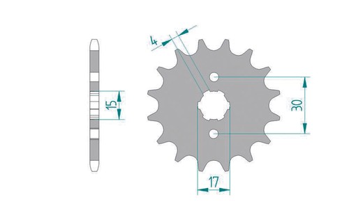 Afam standard steel pinion - afam,