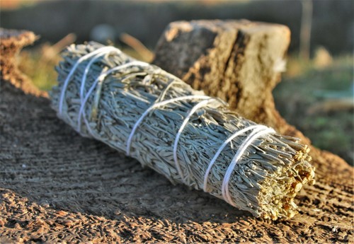 White sage smudge sticks - sage,