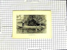 Original Old Antique Print