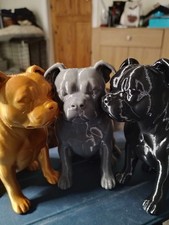 STAFFIE BULL TERRIER