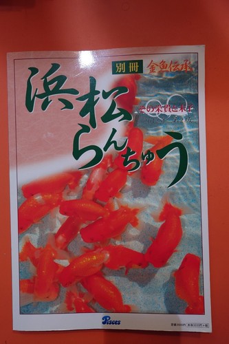 Hamamatsu ranchu its glory - its,